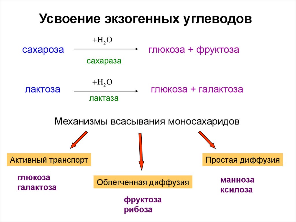 Презентация по теме моносахариды