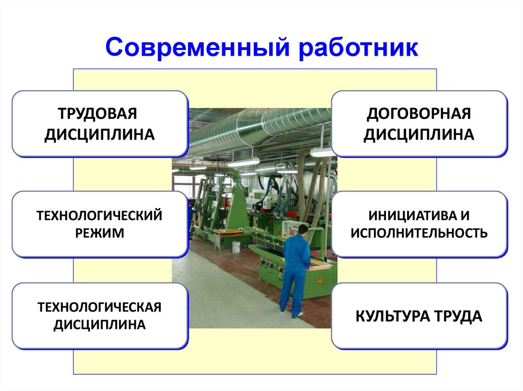 Презентация по дисциплине