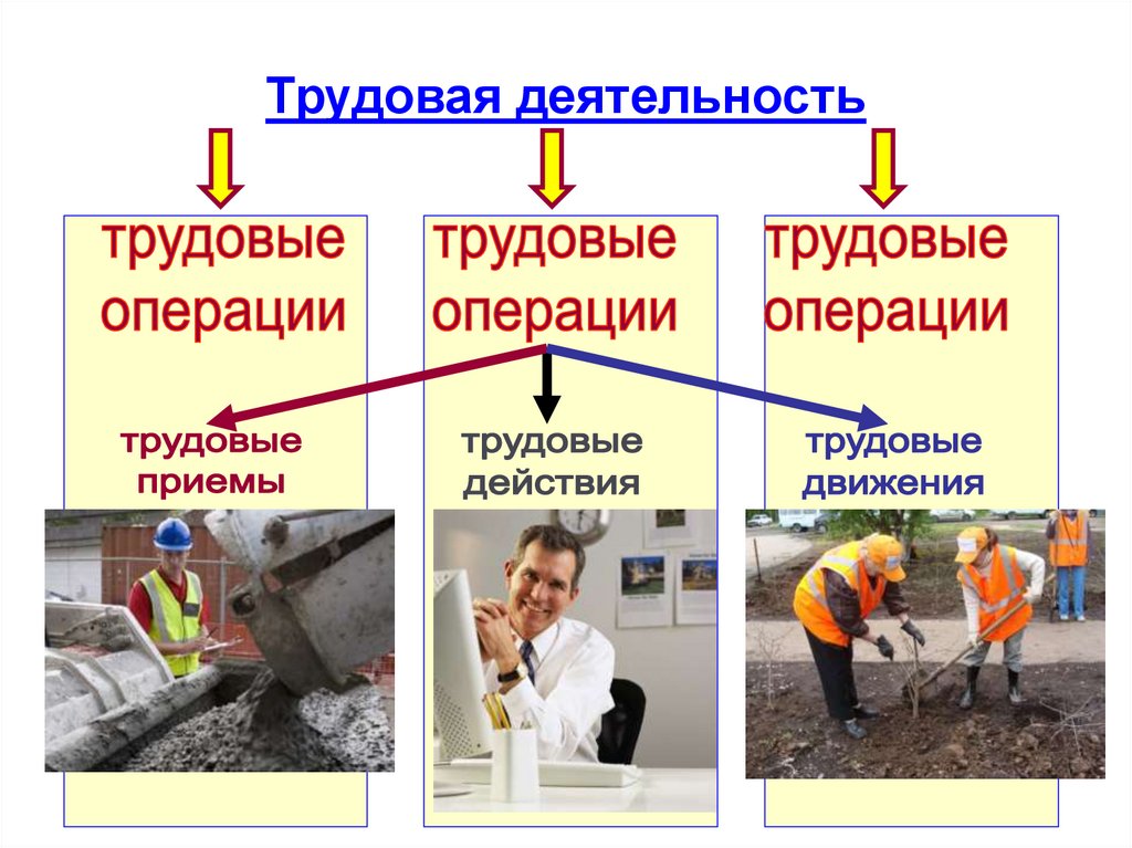 Виды деятельности человека и их особенности проект