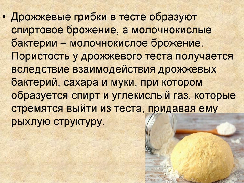 Как добавлять дрожжи. Дрожжевое тесто презентация. Брожение дрожжевого теста. Процесс брожения теста. Процессы происходящие при брожении дрожжевого теста.