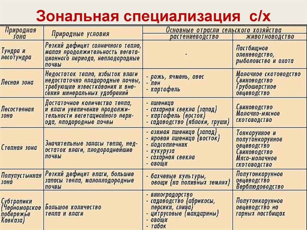 Зональная специализация сельского хозяйства России таблица. Зональная специализация животноводства.