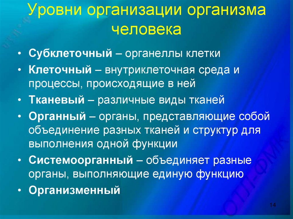 Назовите основные уровни организации организма