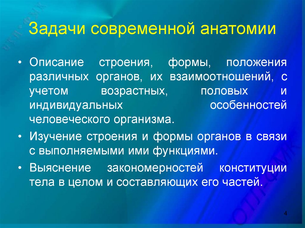 Предмет анатомия человека. Предмет анатомии. Анатомия предмет цель задачи. Предмет исследования анатомии. Объект анатомии.