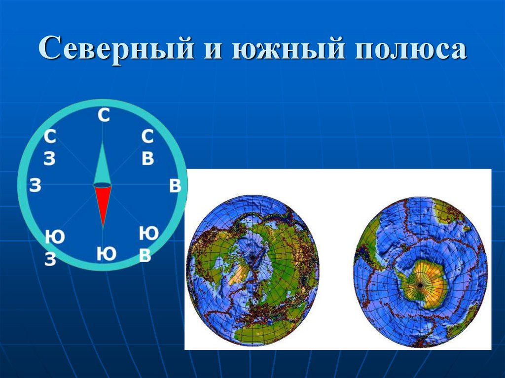 Где находится южный полюс земли физика. Сеаыкрный и Южный полюс. Полюса. Северный и Южный полюс. Расположение полюсов на глобусе.