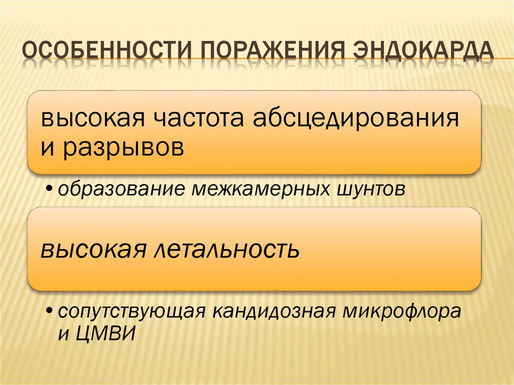 Особенности поражения эндокарда
