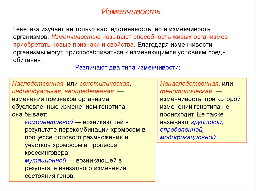 Презентация изменчивость генетика