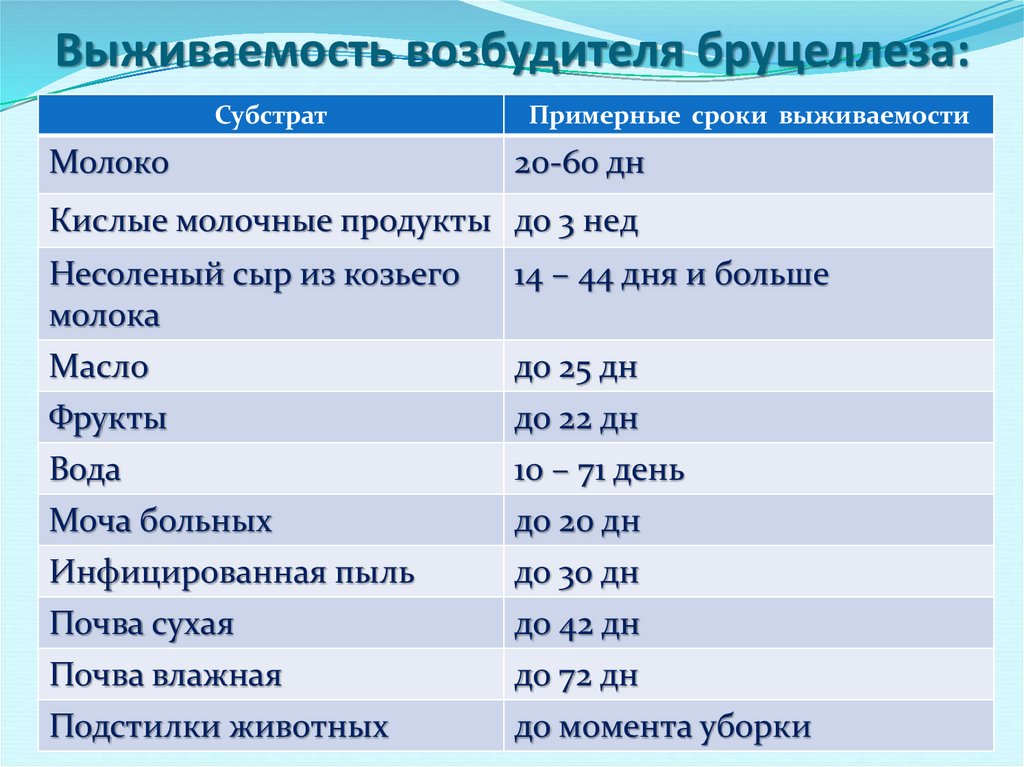 Возбудители бруцеллеза презентация