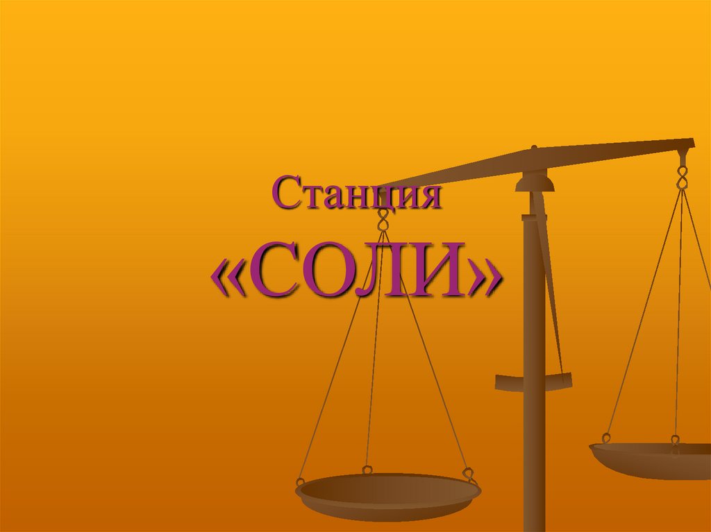 Станция «СОЛИ»