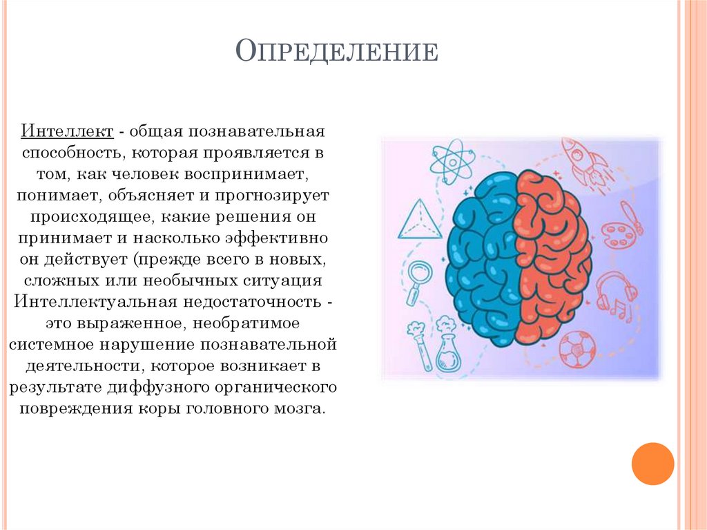 Функции интеллекта