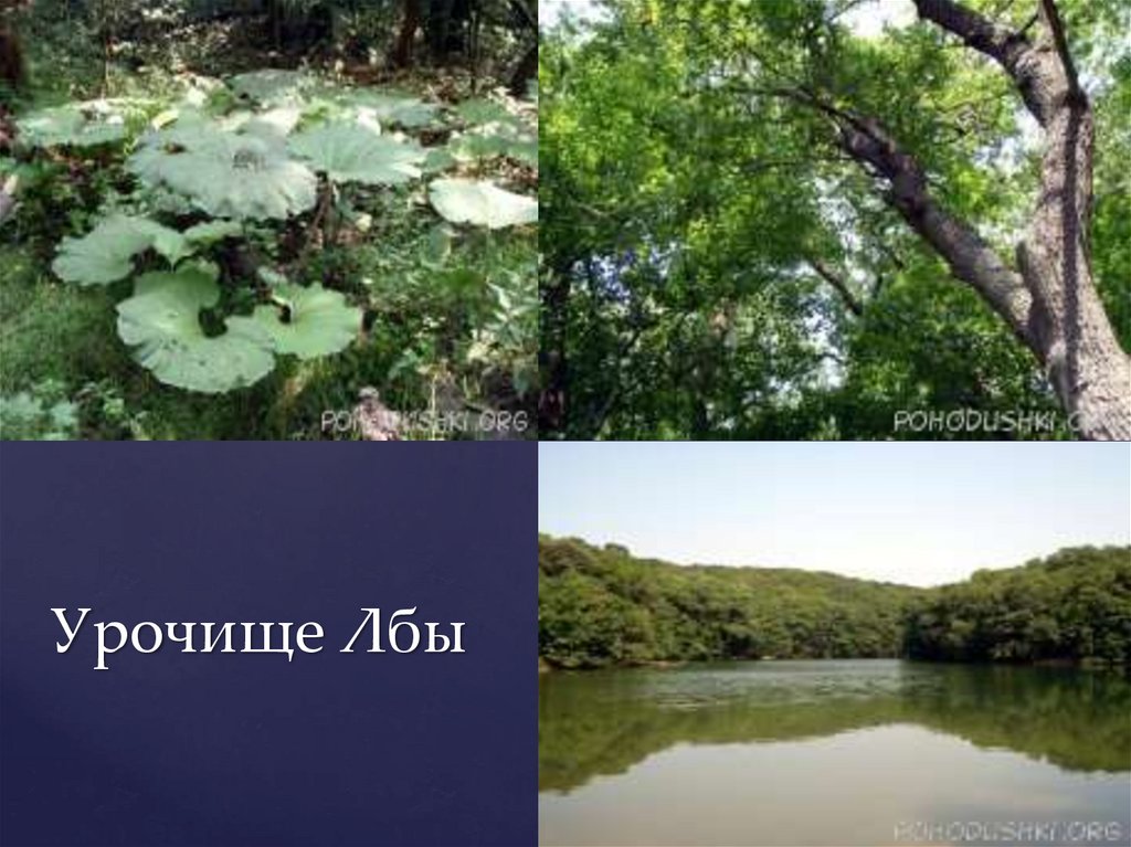 Урочище Лбы