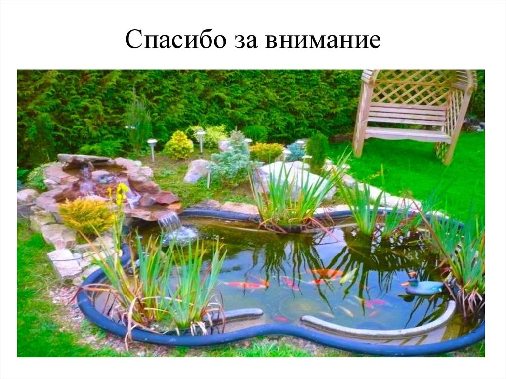 Спасибо за внимание