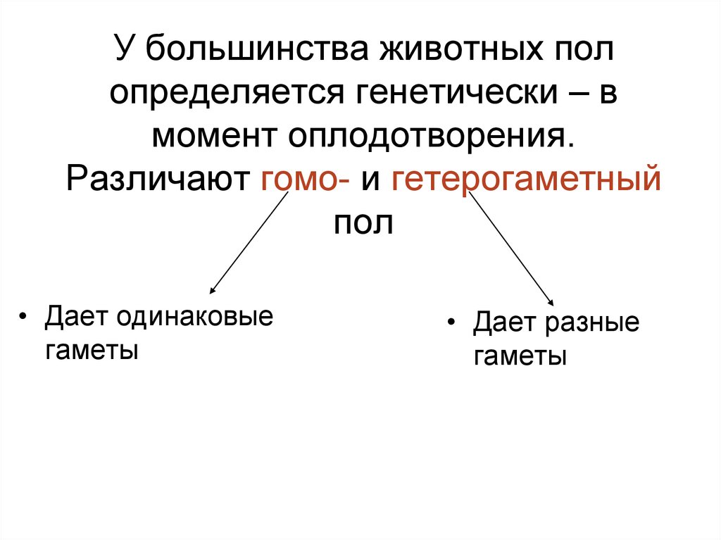 Способ изображения гомогаметного пола