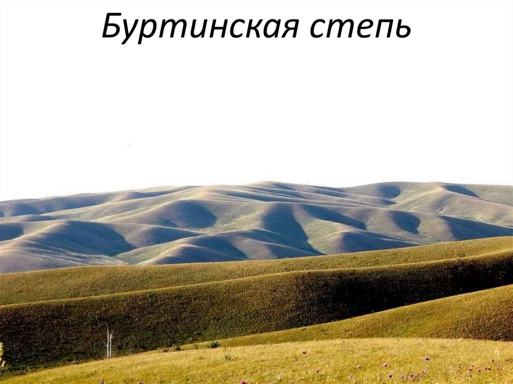 Буртинская степь