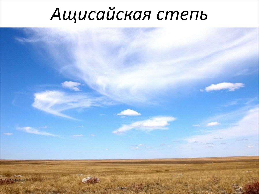 Ащисайская степь