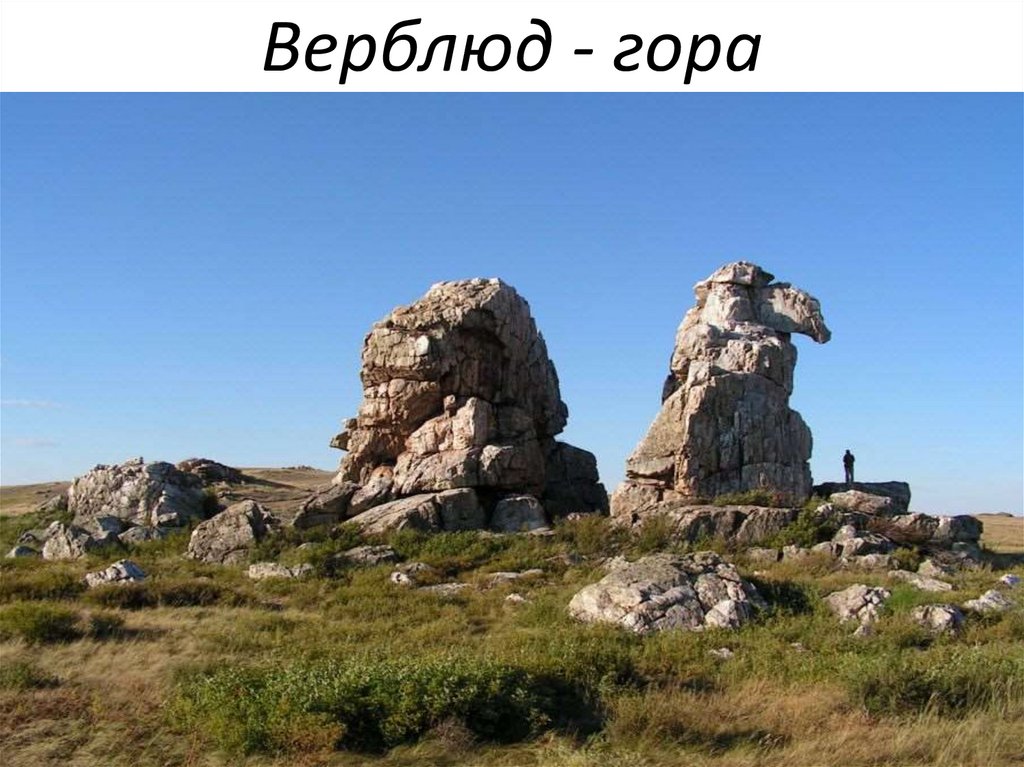 Верблюд - гора