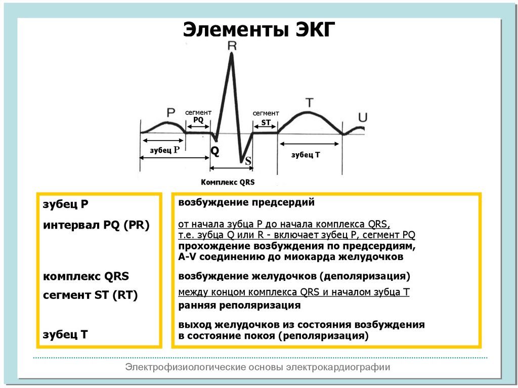 Алгоритм экг