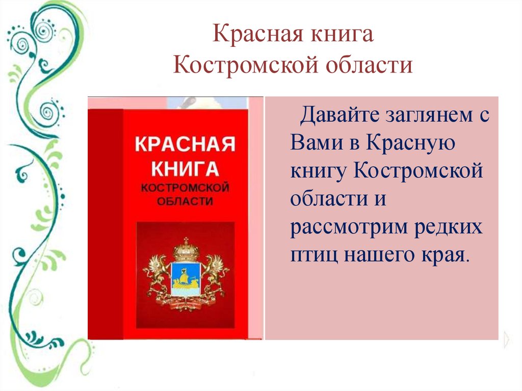 Животное из красной книги костромской области фото и описание