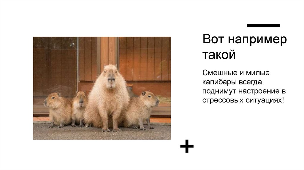 Вот например такой