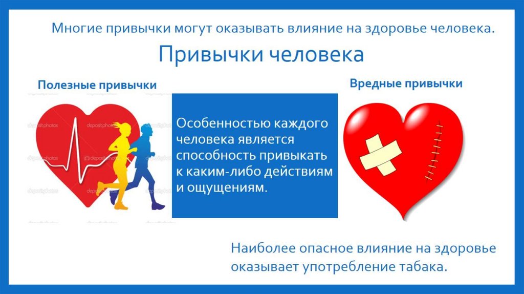 Привычки человека