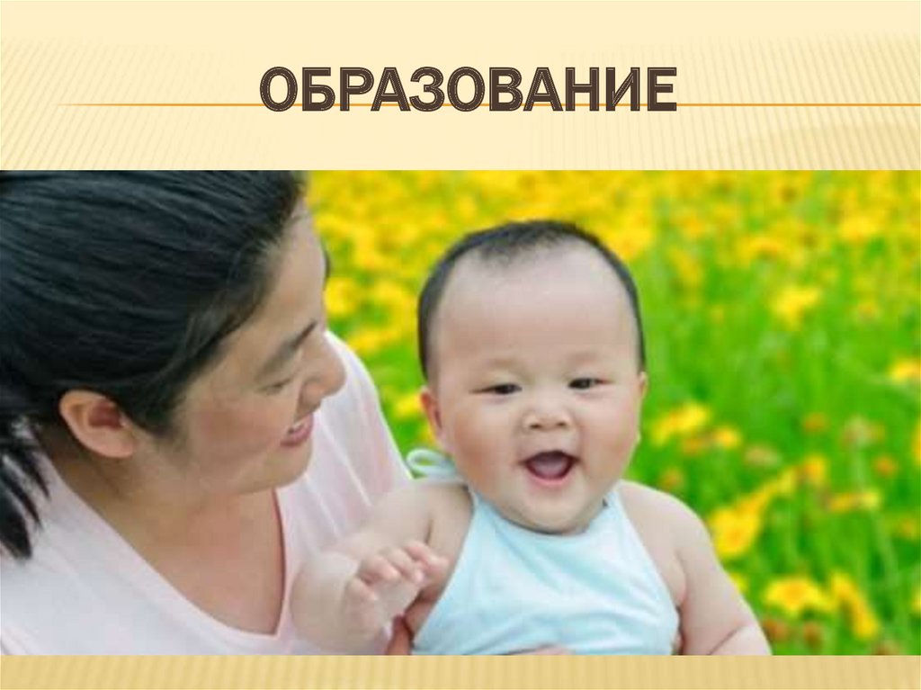 Образование