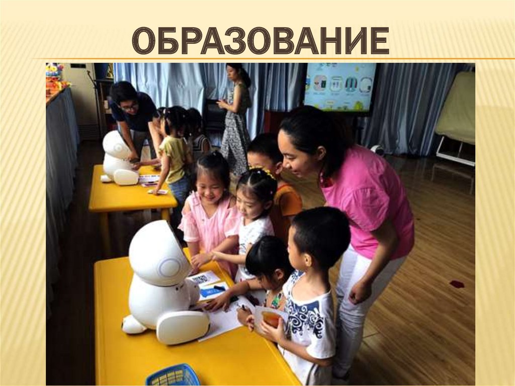 Образование