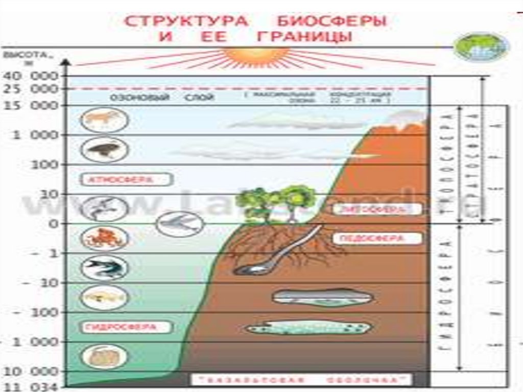 Схема границы биосферы 6 класс. Границы биосферы. Границы биосферы 6 класс география. Слои биосферы.