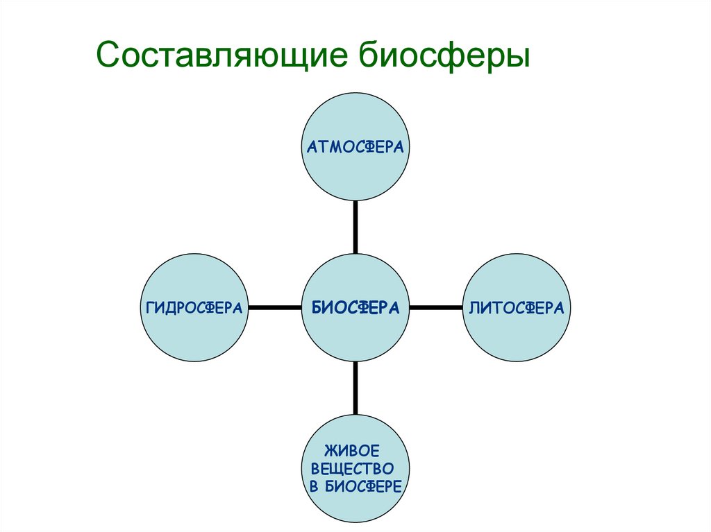 Схема вещества биосферы. Составляющие биосферы. Основные составляющие биосферы. Биосфера и ее составляющие. Биосфера это составляющая.