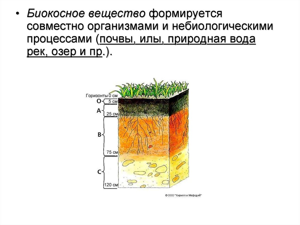 Почва какое вещество биосферы. Биокосные вещества биосферы. Биокосное вещество биосферы. Почва биокосное вещество. Почвенные исследования.