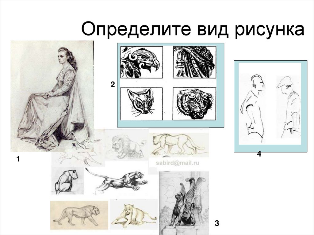 Измеряя вид. Виды рисунков. Основные виды рисунка. Какие есть виды рисунков. Рисунок основа всех видов искусства.