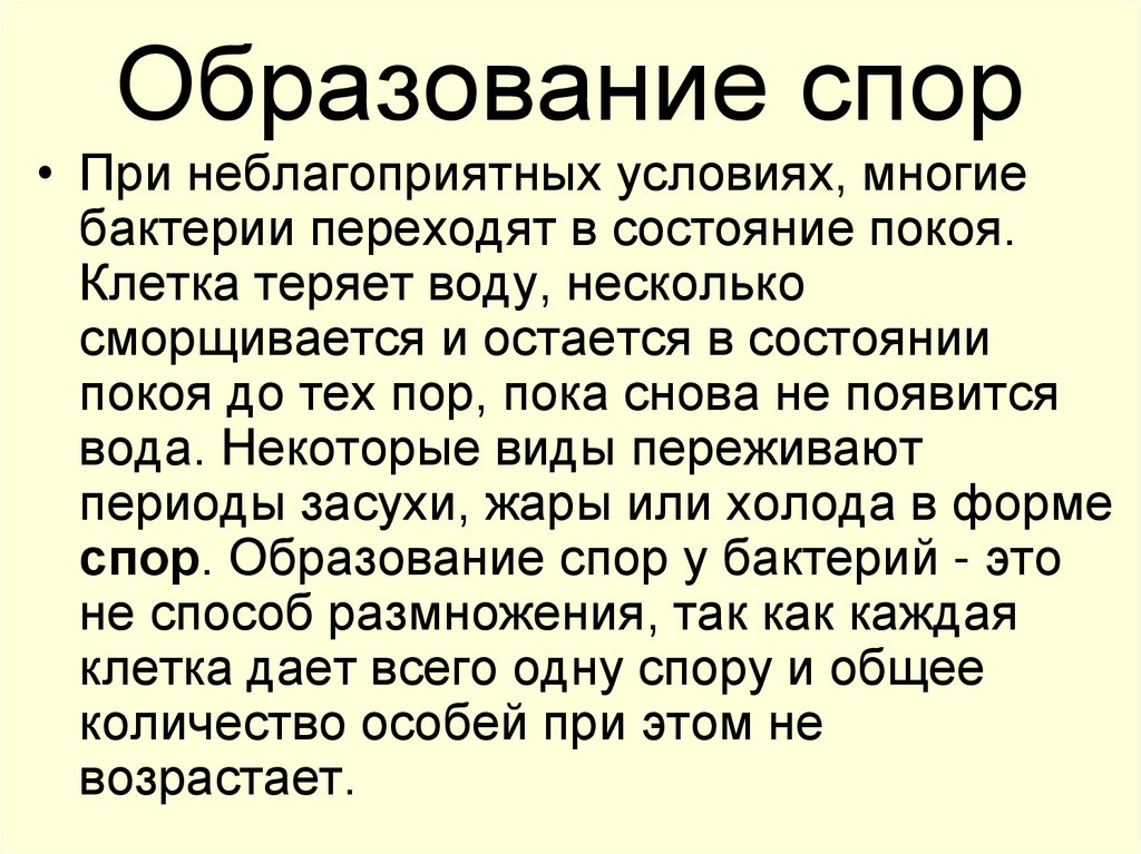 Образование спор