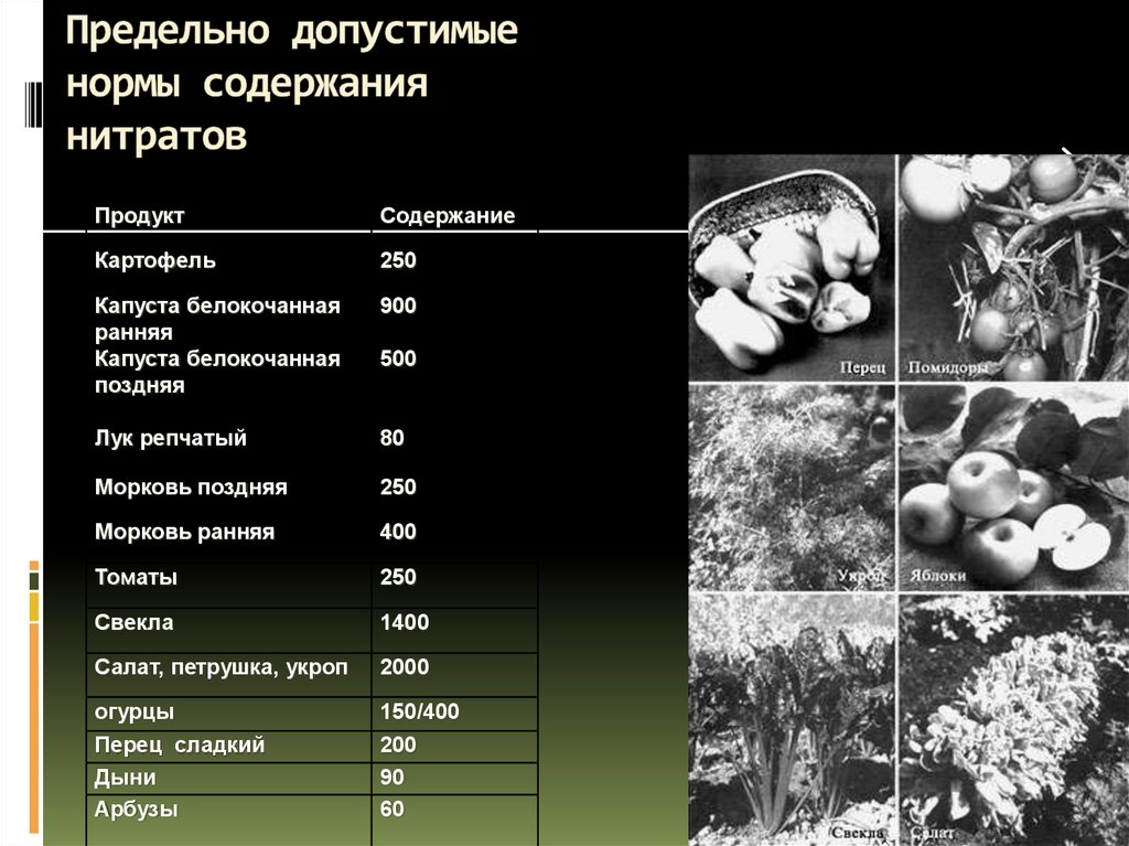 Проект влияние на здоровье человека нитратов и нитритов содержащихся в продуктах питания