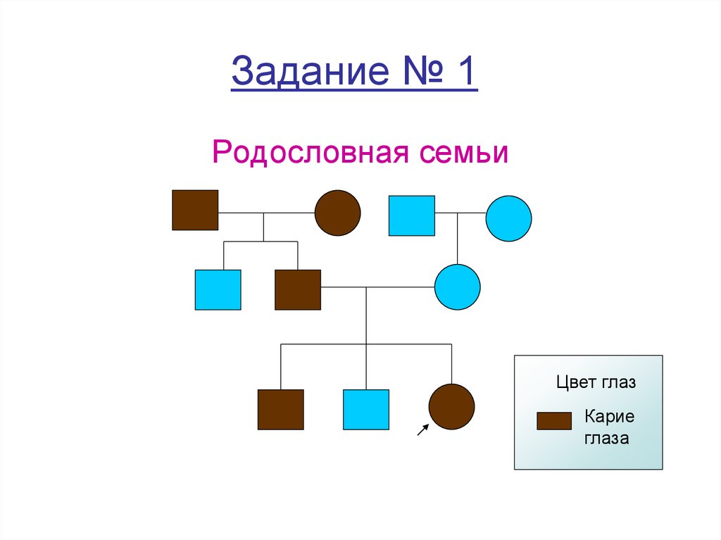 Что такое гены, какими они бывают и как определяют нашу жизнь