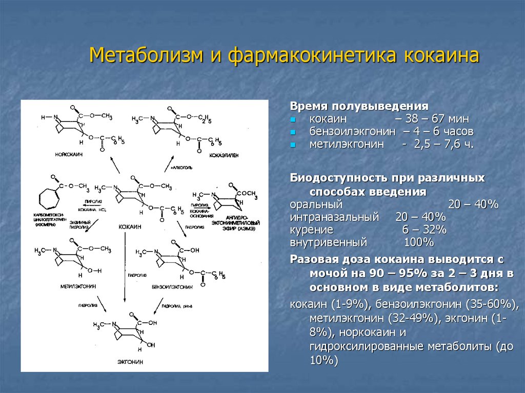 Какими методами действовал