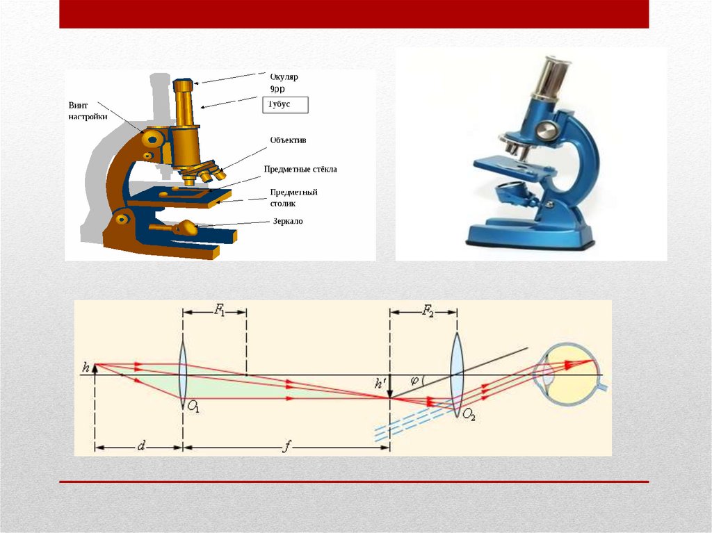 Презентация оптические приборы 11 класс