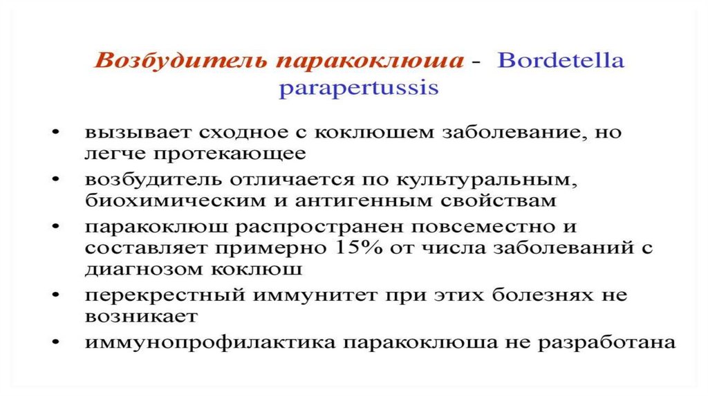 Лечение паракоклюша у взрослых. Паракоклюш симптомы. Специфическая профилактика коклюша.