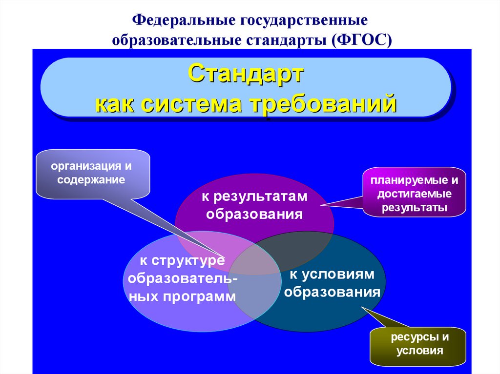 Стандарт система требований