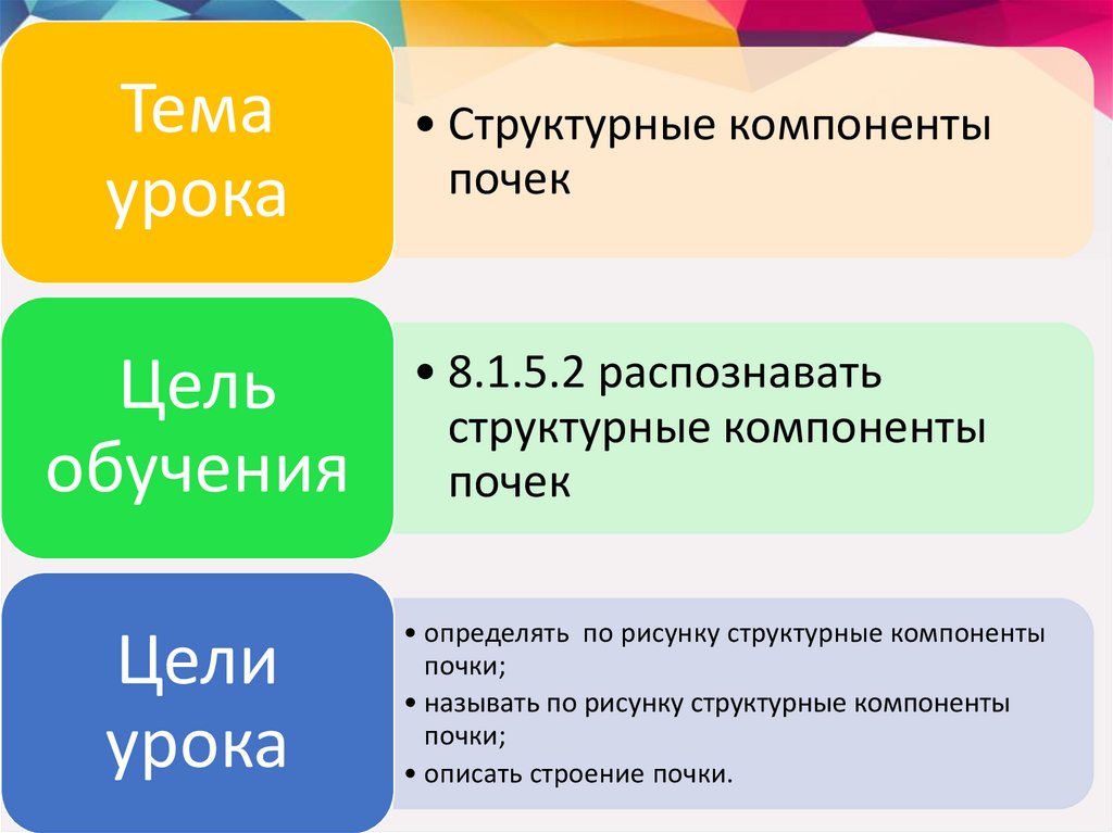 Структурные элементы почек. Структурные элементы презентации. Структурные компоненты теста. Структурные компоненты любви.