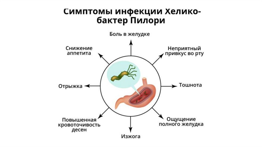Infecció per helicobacter pylori