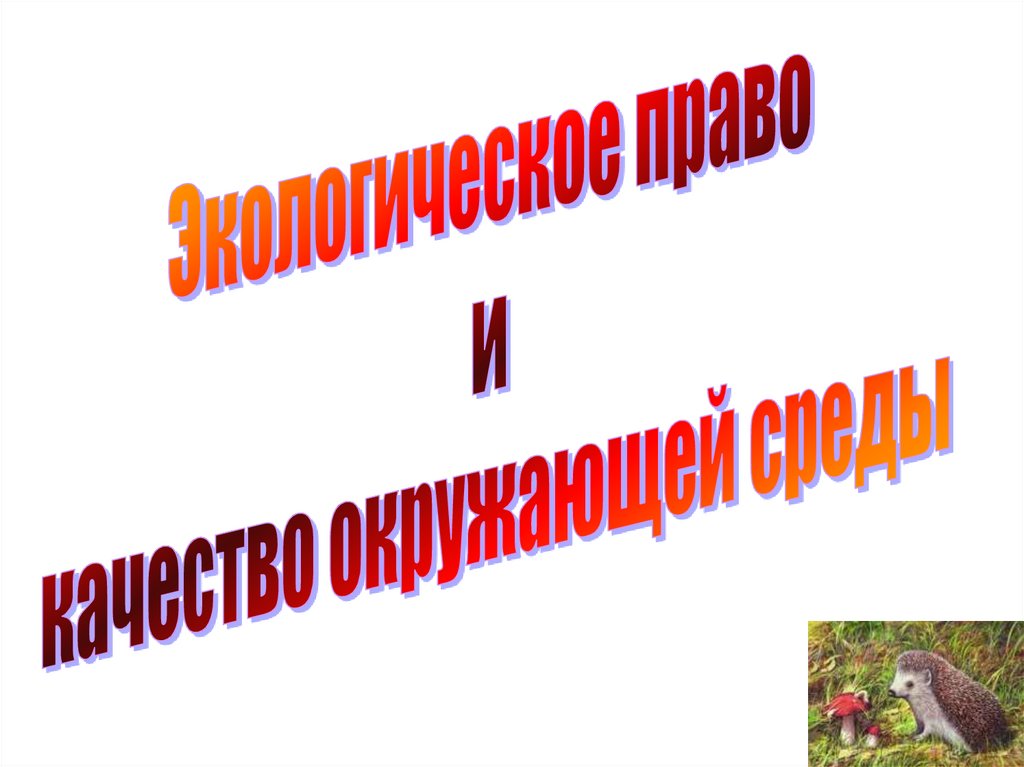 Основы экологии 9 класс. Основы экологии. Животный мир экологическое право презентация.