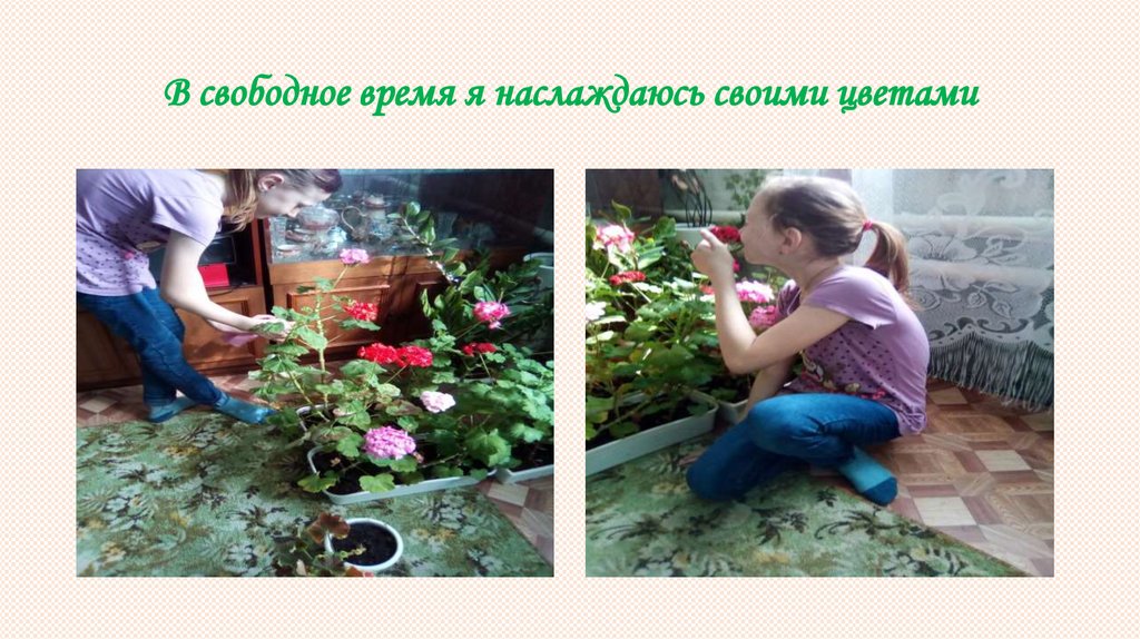 В свободное время я наслаждаюсь своими цветами