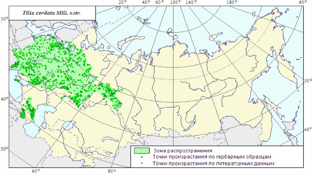 Карта произрастания березы в россии