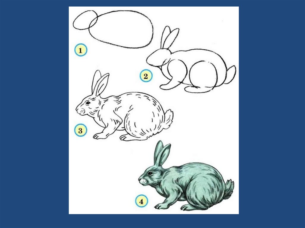 Изобразить характер животного. Изображение характера животных. Рисование зайца в средней группе. Зайчик рисунок. Рисование зайца пошагово для детей.