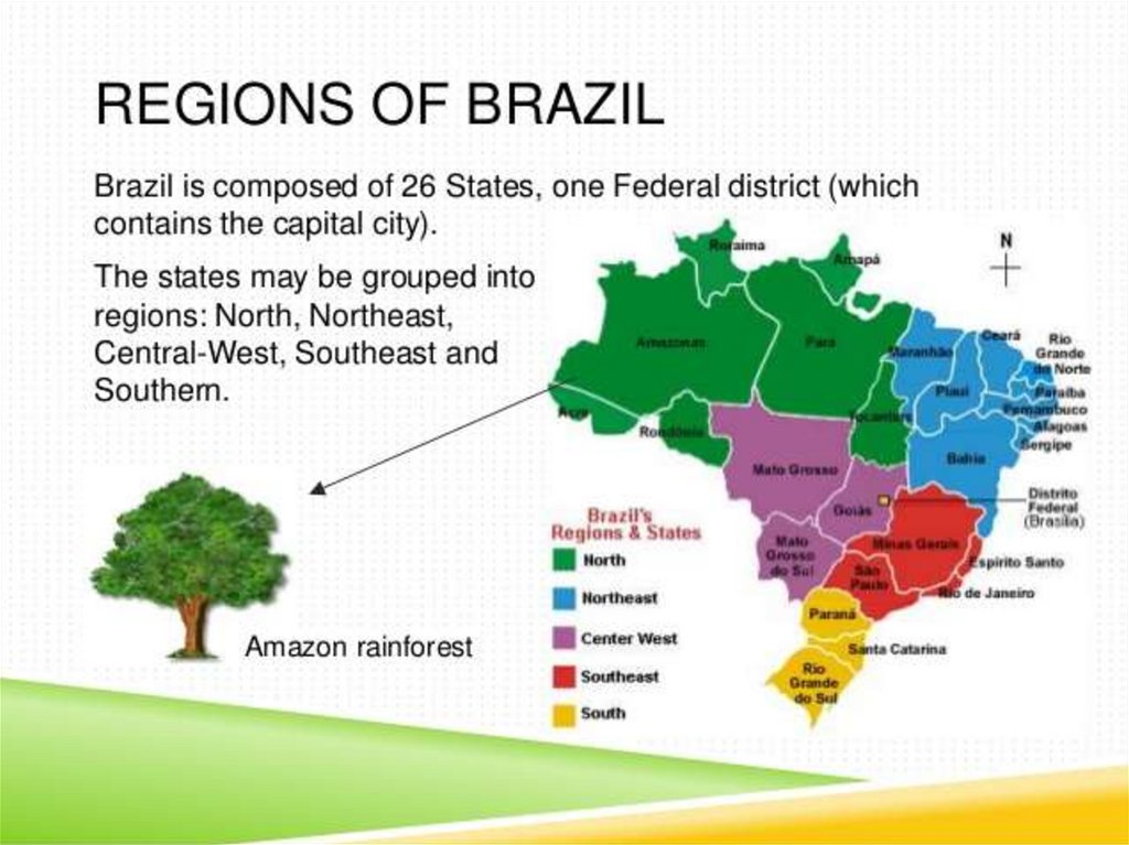 Бразилия презентация 11 класс. Презентация по теме Бразилия. Бразилия презентация 7 класс. Презентация по географии . Бразилия. Доклад по Бразилии.