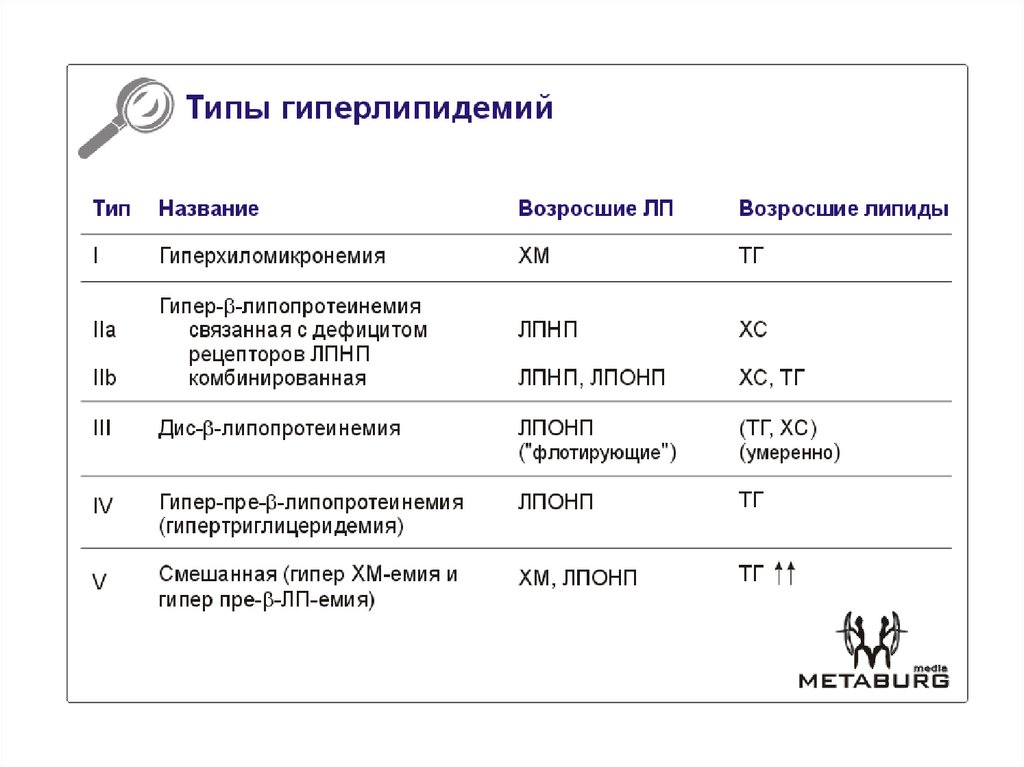 Что такое гиперлипидемия