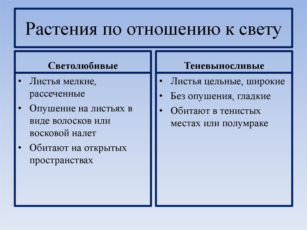 Растения по отношению к свету