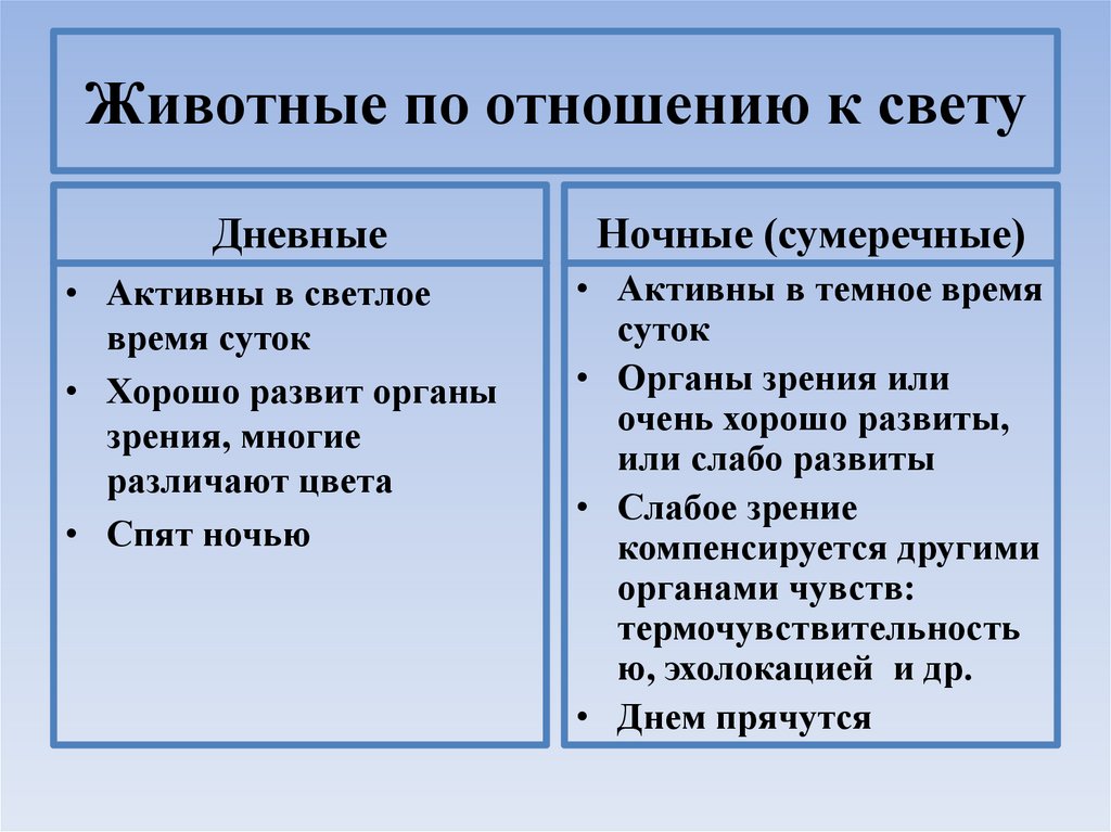 Животные по отношению к свету