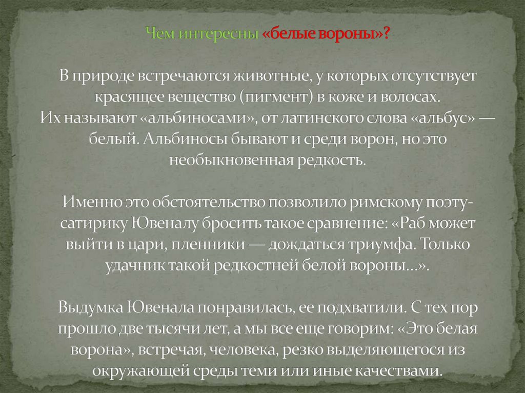 Чем интересны «белые вороны»? В природе встречаются животные, у которых отсутствует красящее вещество (пигмент) в коже и