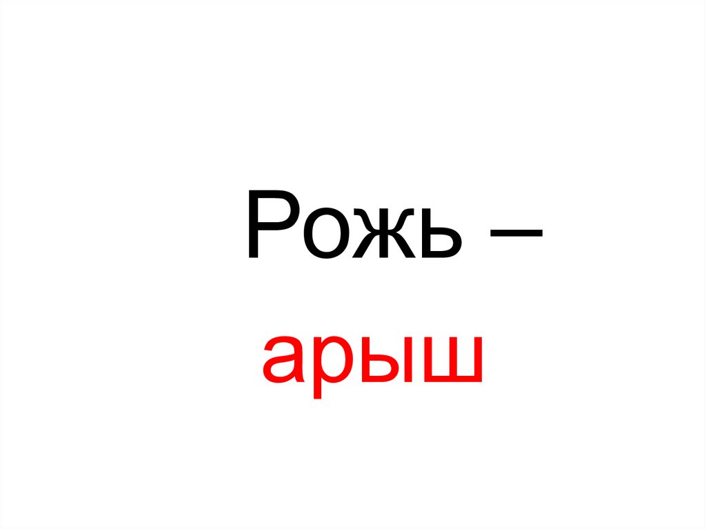 Рожь –