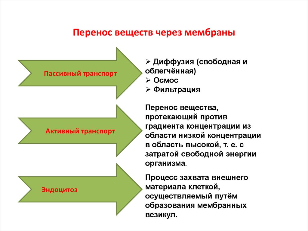 Виды переноса вещества