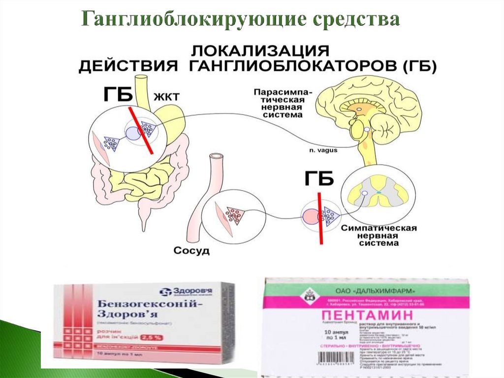 Ганглиоблокирующие средства